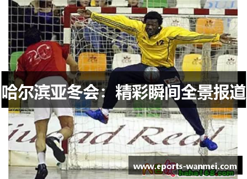 哈尔滨亚冬会：精彩瞬间全景报道