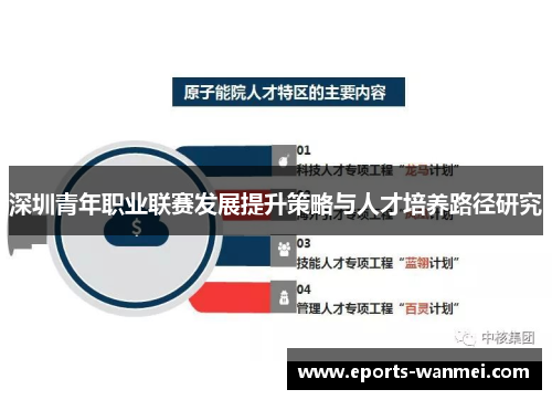 深圳青年职业联赛发展提升策略与人才培养路径研究