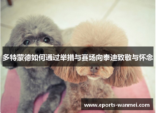 多特蒙德如何通过举措与赛场向泰迪致敬与怀念